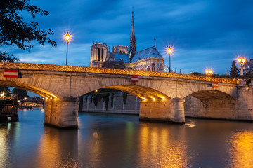 Fototapeta na wymiar Notre Dame de Paris at sunset