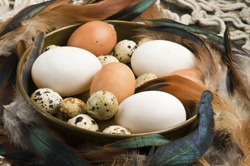 Fresh duck, hen and quail eggs