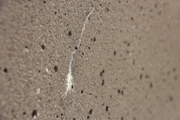 riss im beton I