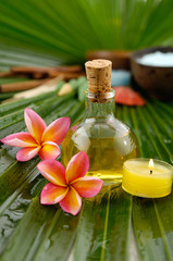 frangipani,spa oil ,towel salt in bowl ,candle on wet palm leaf

