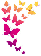 butterflies design
