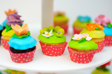Funny colorful cupcakes