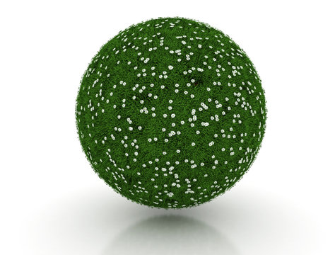 Green Grass Sphere