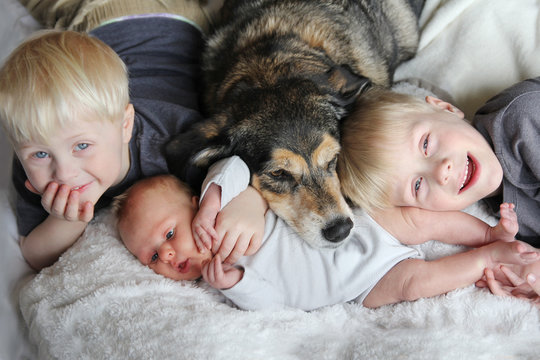 Three Happy Young Children Snuggling with Pet Dog in Bed - Powered by Adobe