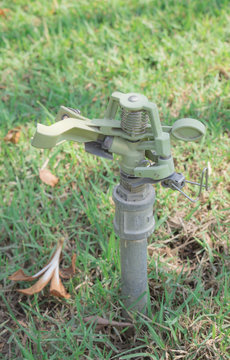 Water springer in yard