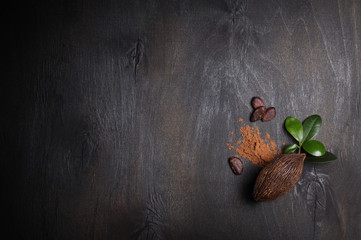 Cacao beans and powder isolated