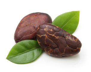 Cacao beans  isolated