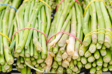 Green asparagus