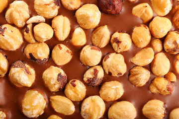 Milk chocolate bar with hazelnuts close up