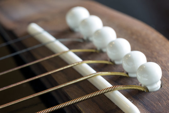 Guitar strings (focused on the nearest)