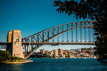 Fototapeta premium Harbour bridge