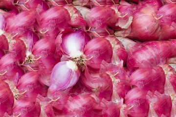 Abstract background of shallot