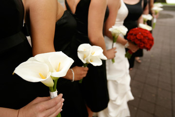 Row of Bride and Bridesmaids with Bouquets