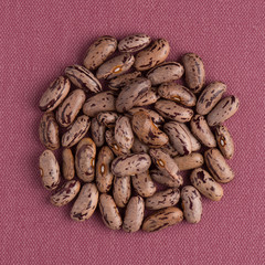 Circle of pinto beans