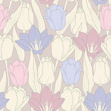 White and blue tulips