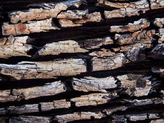 surface old wood texture