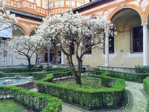Milano, Santa Maria delle Grazie - chiostro delle Rane