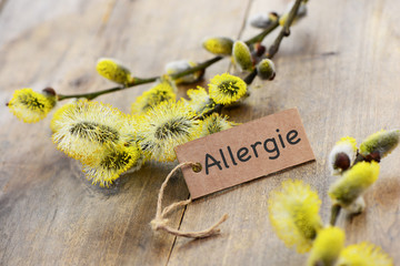 Fototapeta premium Allergie