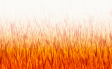 red flame fire texture on white backgrounds