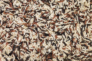 Food background with of rice variety