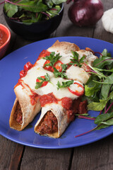 Mexican enchilada
