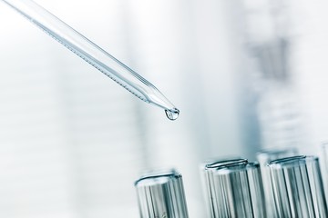 Lab. A close-up of a laboratory glass pipette with emerging drop