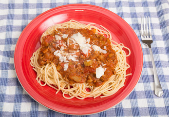 Spaghetti in Red Plate.