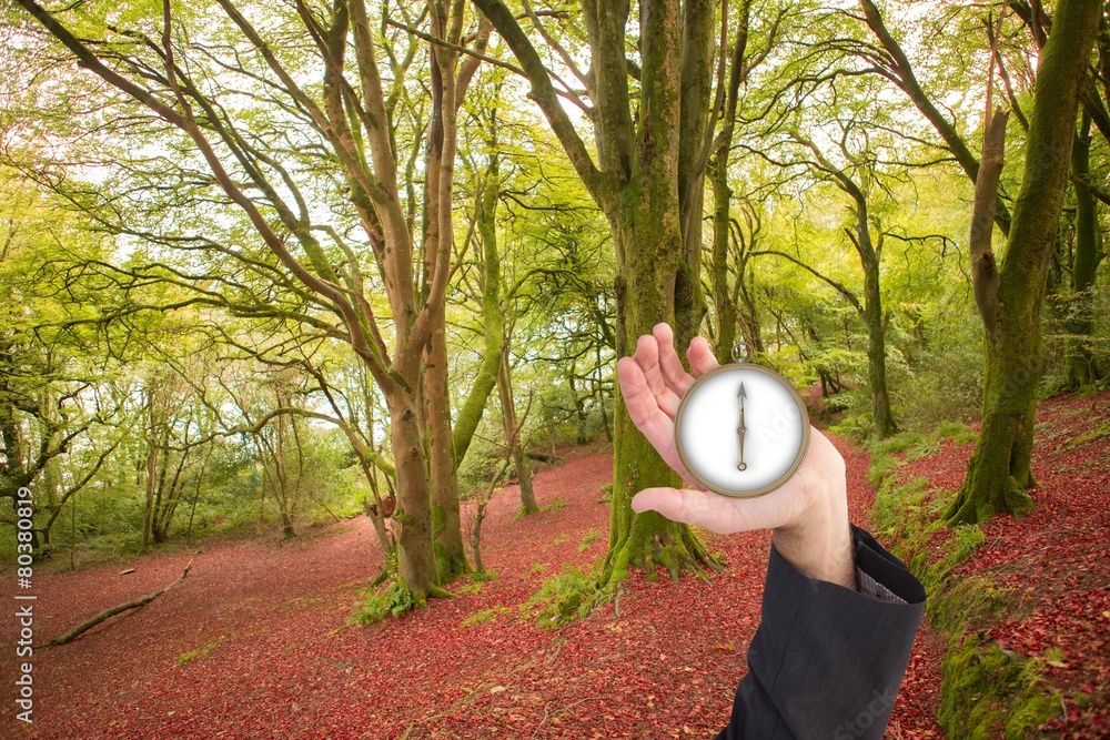Poster composite image of businessman holding hand out in presentation