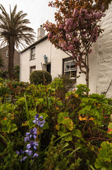 Pretty Cottages in St Mary's on the Scilly Isles