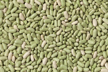French flageolets beans