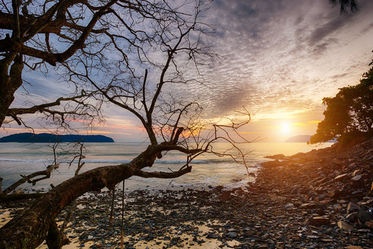 Beautiful sunset at the sea