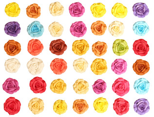 Colorful roses on white background.