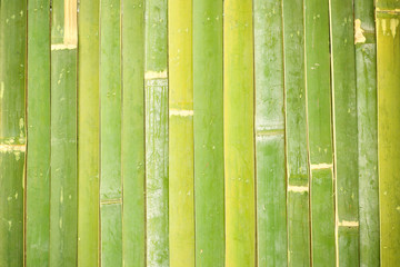 bamboo fence background