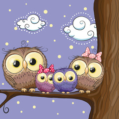 Naklejka premium Owls family