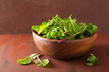 fresh salad leaves in bowl: spinach, mangold, ruccola