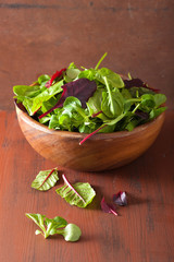 fresh salad leaves in bowl: spinach, mangold, ruccola