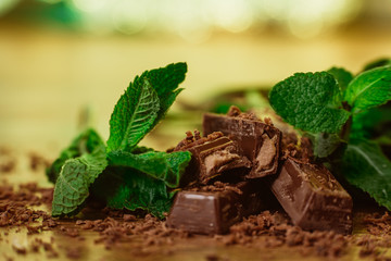 stack of chocolate pieces with a leaf of mint 