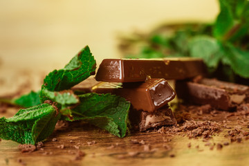 stack of chocolate pieces with a leaf of mint 