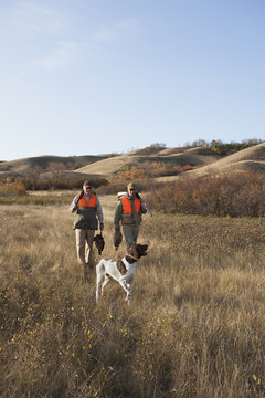 Two hunters and pointer dog in grassy field