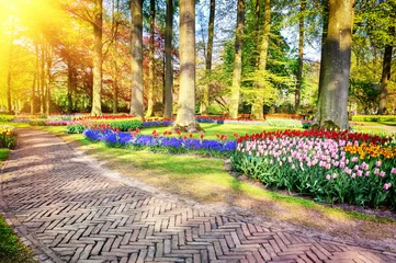 Tuinposter Spring landscape with park alley © Grecaud Paul