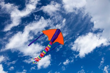 kite flying in the sky