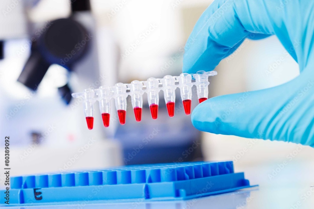 Wall mural PCR strip test tubes and micropipette in genetics laboratory