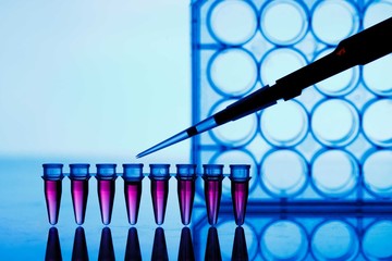 PCR strip test tubes and micropipette in genetics laboratory
