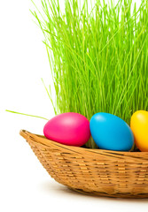 Basket with Easter eggs and grass. Isolated