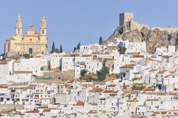 Obraz premium Pueblo blanco de Olvera, Cádiz (España)