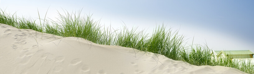 sand dunes near the beach with a blue sky