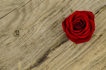Rose flower on old wooden table
