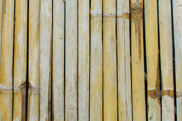 bamboo fence background