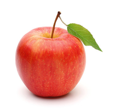 Gala Apple