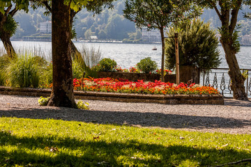 Fototapeta na wymiar Bellagio, Lago di Como, Como, Lombardia, Italia